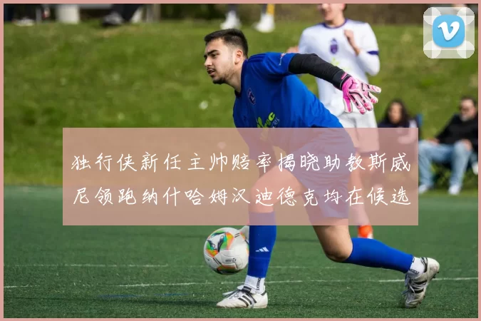 独行侠新任主帅赔率揭晓助教斯威尼领跑纳什哈姆汉迪德克均在候选之中