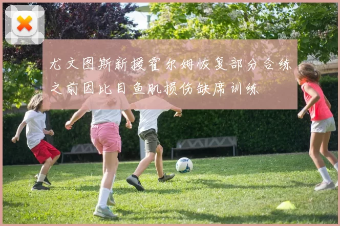 尤文图斯新援霍尔姆恢复部分合练之前因比目鱼肌损伤缺席训练